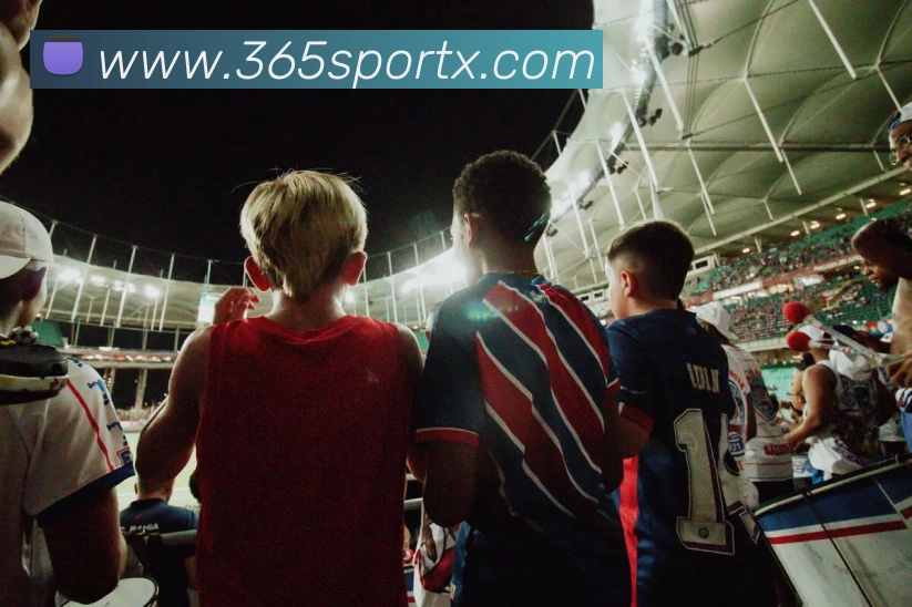 多媒体互动体验