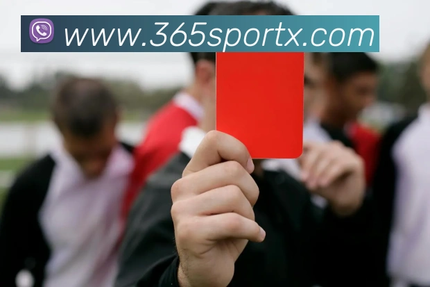 365博彩APP 高清赛事图